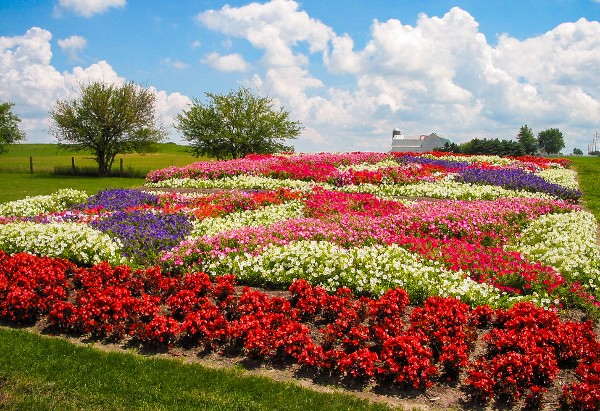 Quilt Gardens in Indiana, courtesy Elkhart CVB